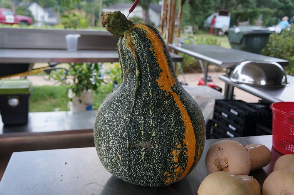 Gourd on Table